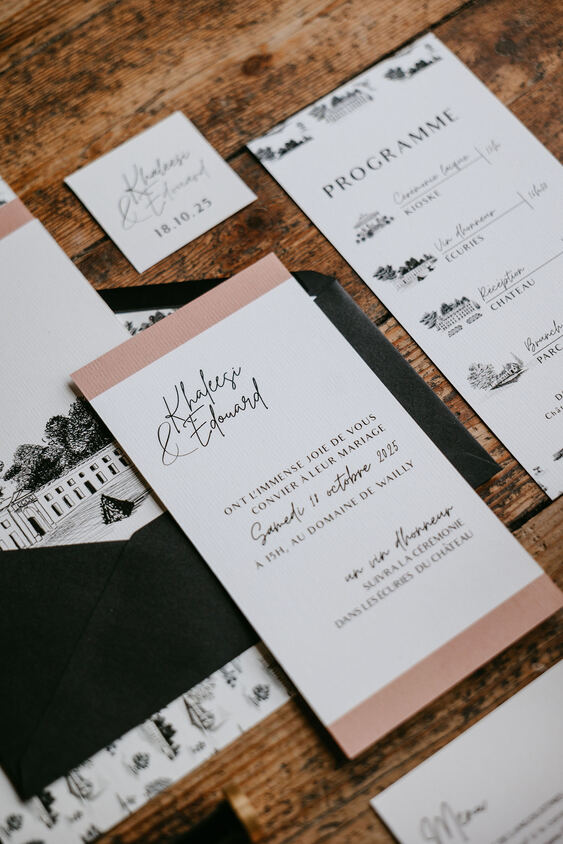 Portrait de maison illustr&eacute;, photo de r&eacute;alisation