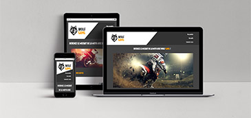 intégration site wolf gang